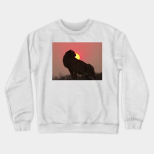 Cheetah At Sunset Crewneck Sweatshirt